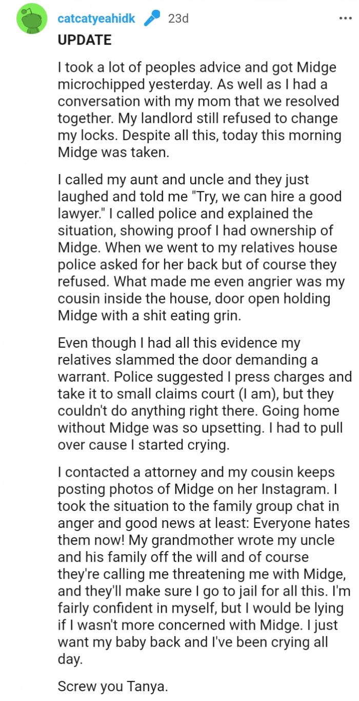 Lady Breaks Into Her Cousin’s House To Steal Back Cat That Was Taken