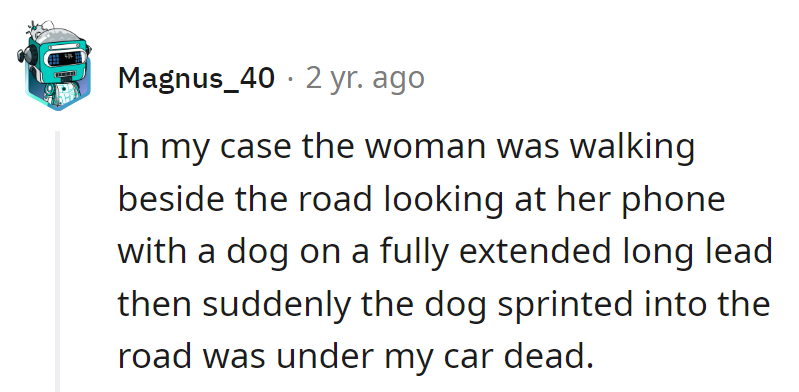Looks like her dog had a 'ruff' encounter with the road, all thanks to a long leash and a short attention span.