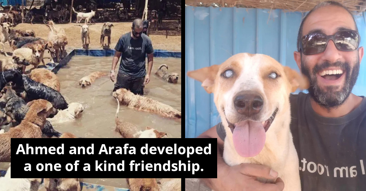 Animal Shelter Volunteer Develops Unique Friendship With The Blind Dog He Rescued