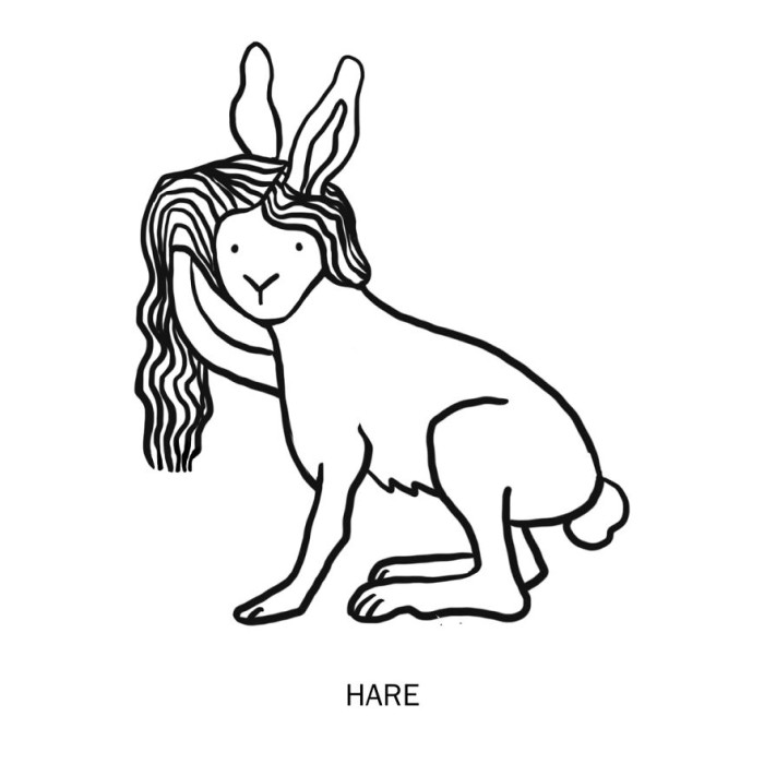 37. Hare