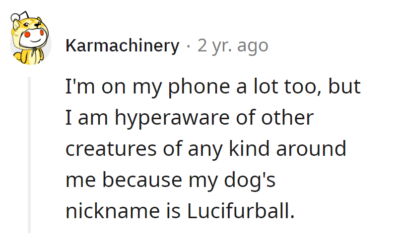Phone addict with a devilish watchdog: meet Lucifurball's vigilant owner.