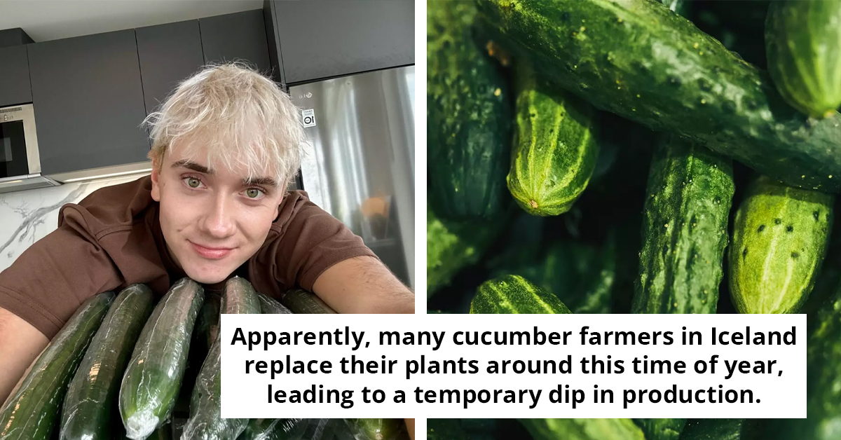 How One Viral TikTok Trend Led To A Cucumber Shortage Across An Entire Country