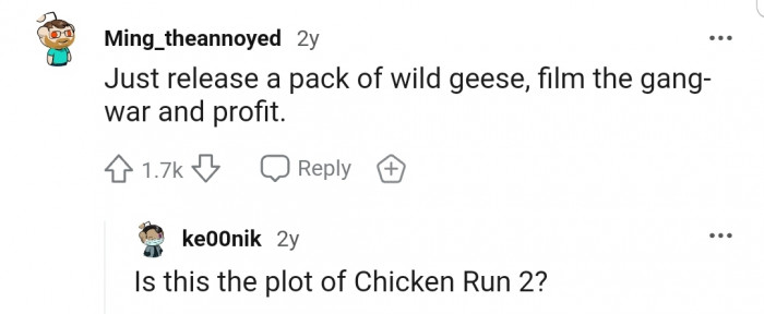 Imagine a fight between a pack of wild geese and feral chickens
