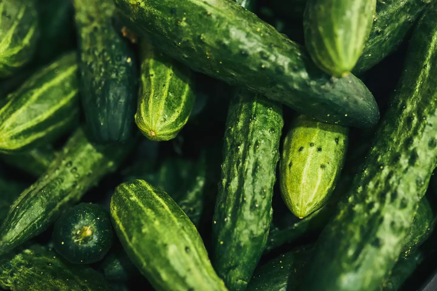 Iceland’s cucumber shelves are looking a little bare thanks to a TikTok trend that's taken the nation by storm