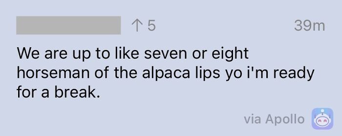 3. Alpaca Lips