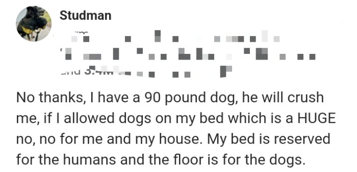 19. This commenter says their dog is too big to sleep on them