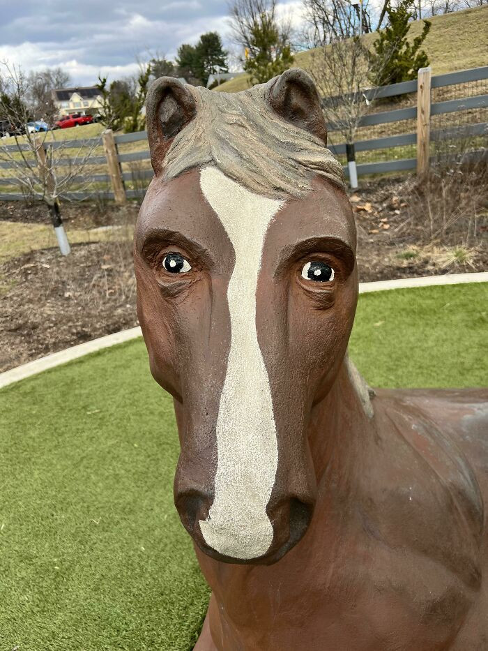 10. Horse With Eyes On Front Of Its Head