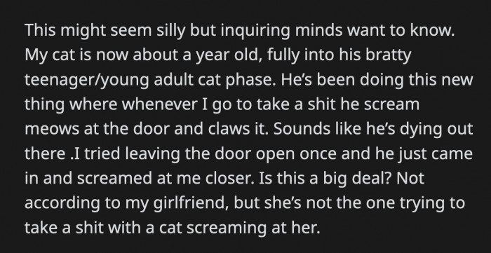 When OP saw the cat pooping on the litter, he meowed at him until he finished and left