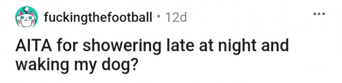 A redditor named u/fuckingthefootball wants to know if he's an AH for showering late at night and causing a havoc