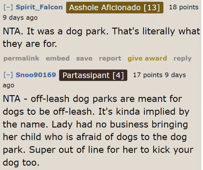 Is this mom not aware of what happens at dog parks?