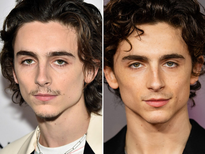 6. Timothee Chalamet