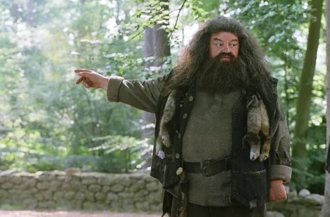 Robbie Coltrane - Ruben’s Hagrid (1950-2022)