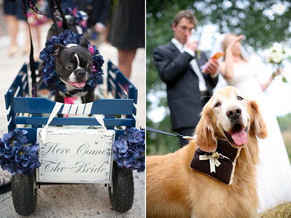 23. Don't forget to include man’s best friend in the wedding ceremony