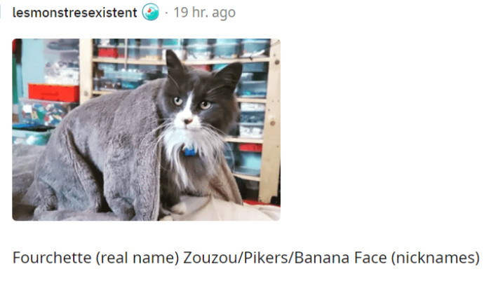 10. Fourchette (real name) Zouzou/Pikers/Banana Face (nicknames)
