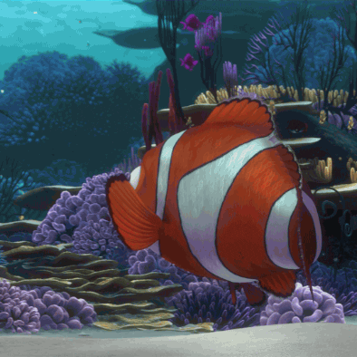 4. Finding Nemo
