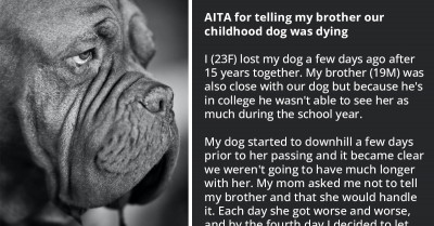 Woman Ignores Her Mom’s Wishes Of Not Telling Her Brother That Their Childhood Dog Is Dying Which Resulted In Him Failing A Test