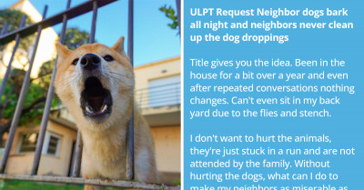 Man Asks For Unethical Advice On How To Solve His Problems With A Neighbor Who Is Neglecting His Dogs, And The Answers He got Would Shame Any Evil Mastermind