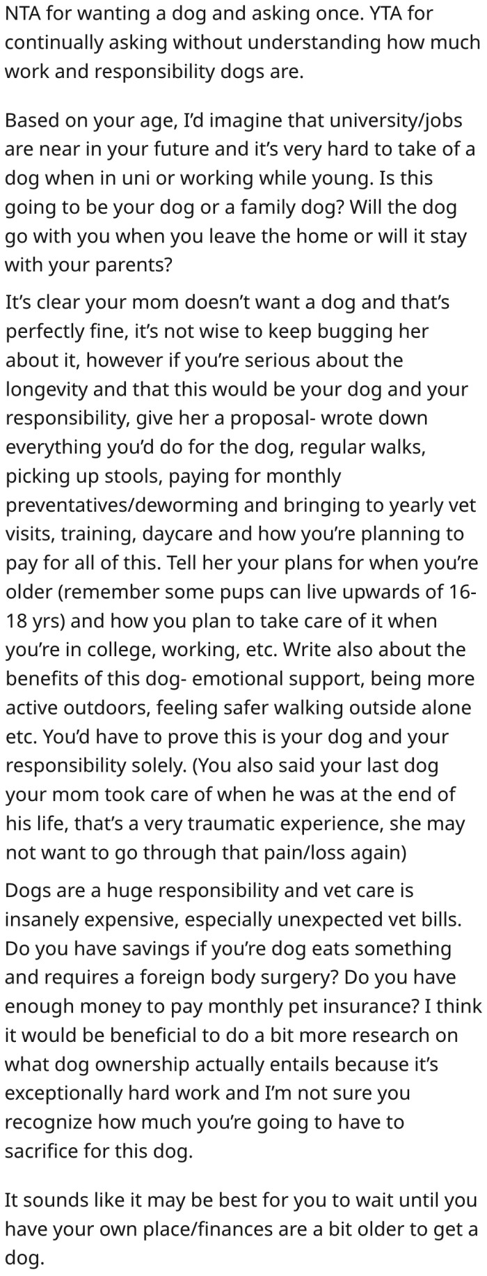 20. If she's serious about caring for the dog long-term, she should draft a detailed plan and show it to her mom.
