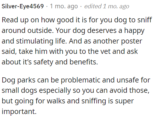 OP should avoid potential risks at dog parks, particularly for small dogs, but prioritize walks and sniffing outings.