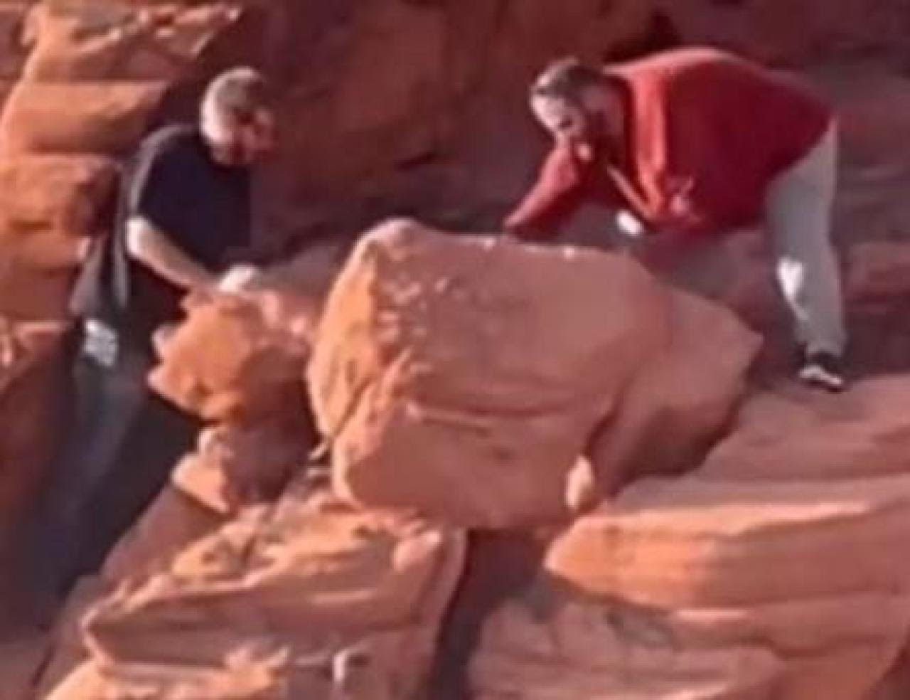 At the Lake Mead National Recreation Area's Redstone Dunes Trail area, mature males can be seen pushing natural rock formations from the top of a cliff