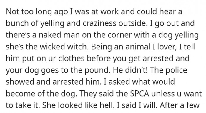 Being an animal lover, OP took in the naked man's dog