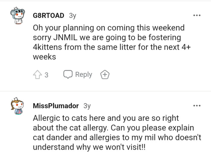 A redditor wants someone to explain to their MIL what cat dander and allergies means