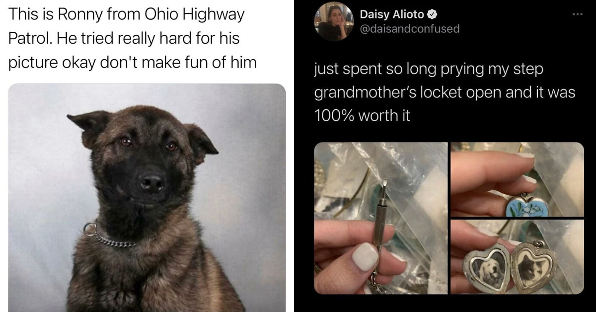 21 Relatable Animal Moments That Prove They’re Just Like Us, But Funnier