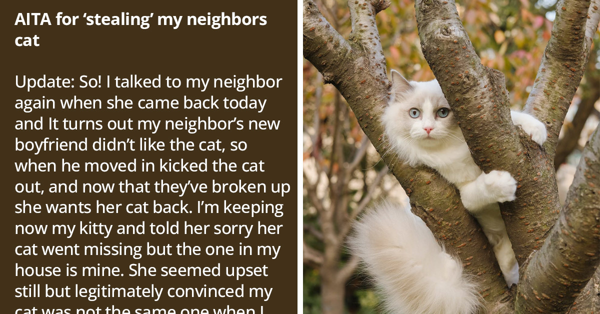 Redditor Steals Neighbor's Cat, Gets Away Flawlessly