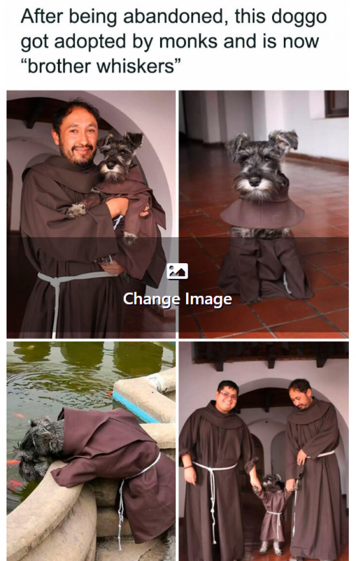4. Doggo becomes a monk too.