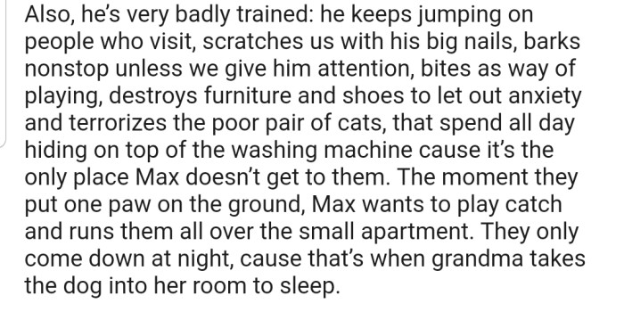 In addition, Max is poorly trained, which isn't good news for the furniture and Grandma's cats