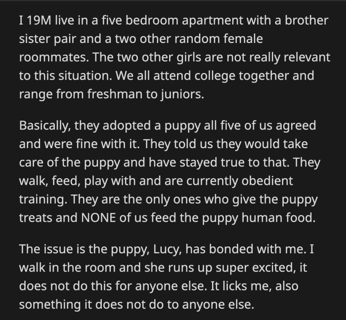 OP tried to do as they asked and ignores Lucy's excitement when he gets home. He doesn't know how to accomplish breaking his bond with Lucy.