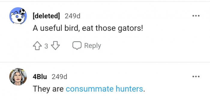 According to this Redditor, they are consummate hunters
