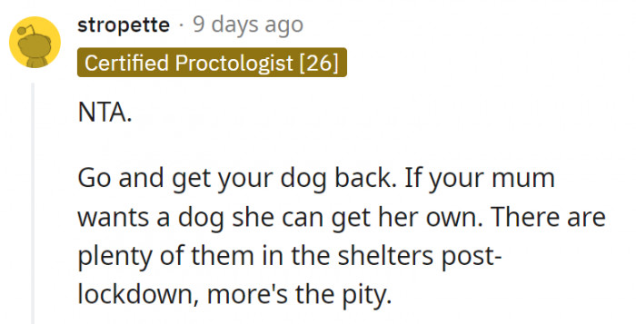 3. She doesn't need to steal anyone else's dog to get one of her own