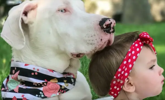 Echo’s life wasn’t always this joyful. Before being rescued by Jenny's mom, she was nearly euthanized due to her disabilities. But fate had a different plan.