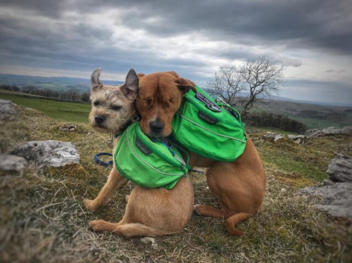 After some initial apprehension, a beautiful friendship blossomed between Toby and Amos