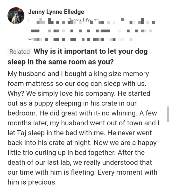 11. This commenter wants their dog sleeping with them