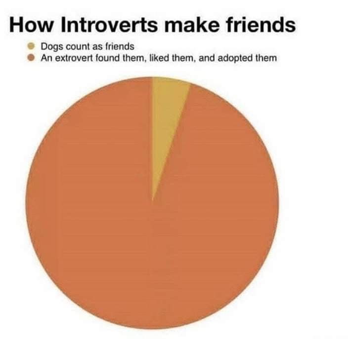 Where there's an introvert, there's usually an extrovert close by.