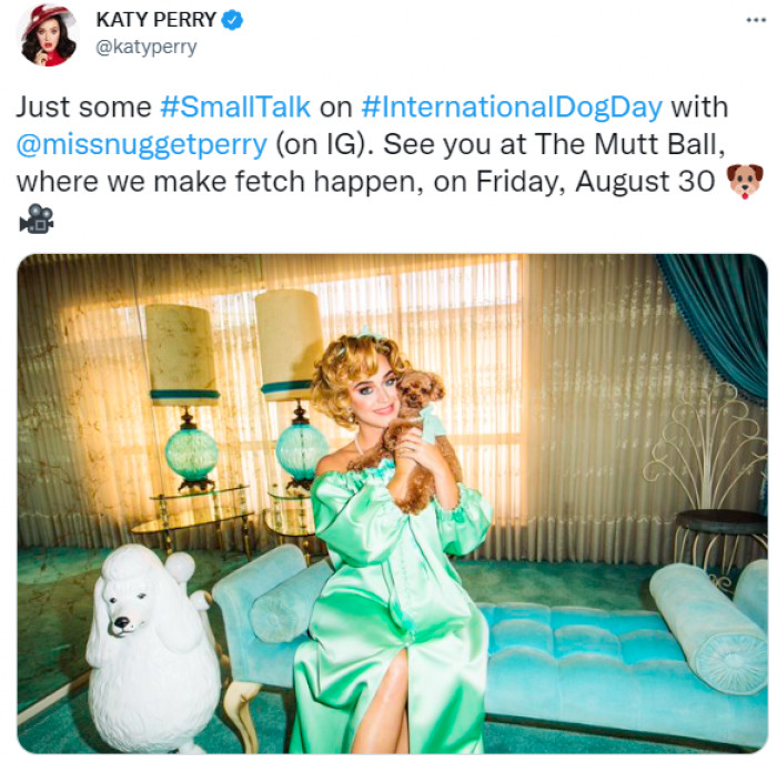 2. Katy Perry and her Nugget, the Mutt Ball 2019 Champion.