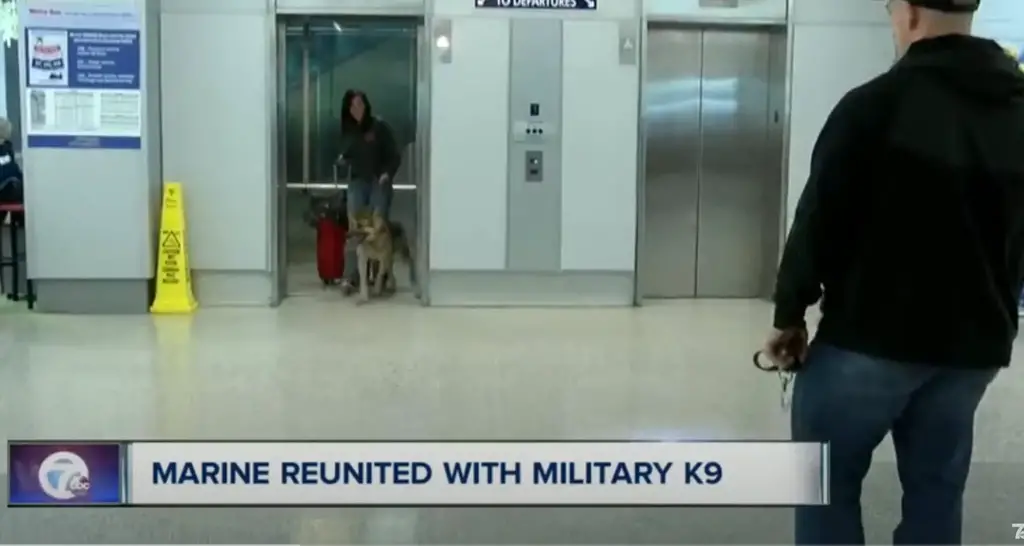 Several organizations help reunite handlers with their K9 partners, and Mission K9 Rescue is one of them.