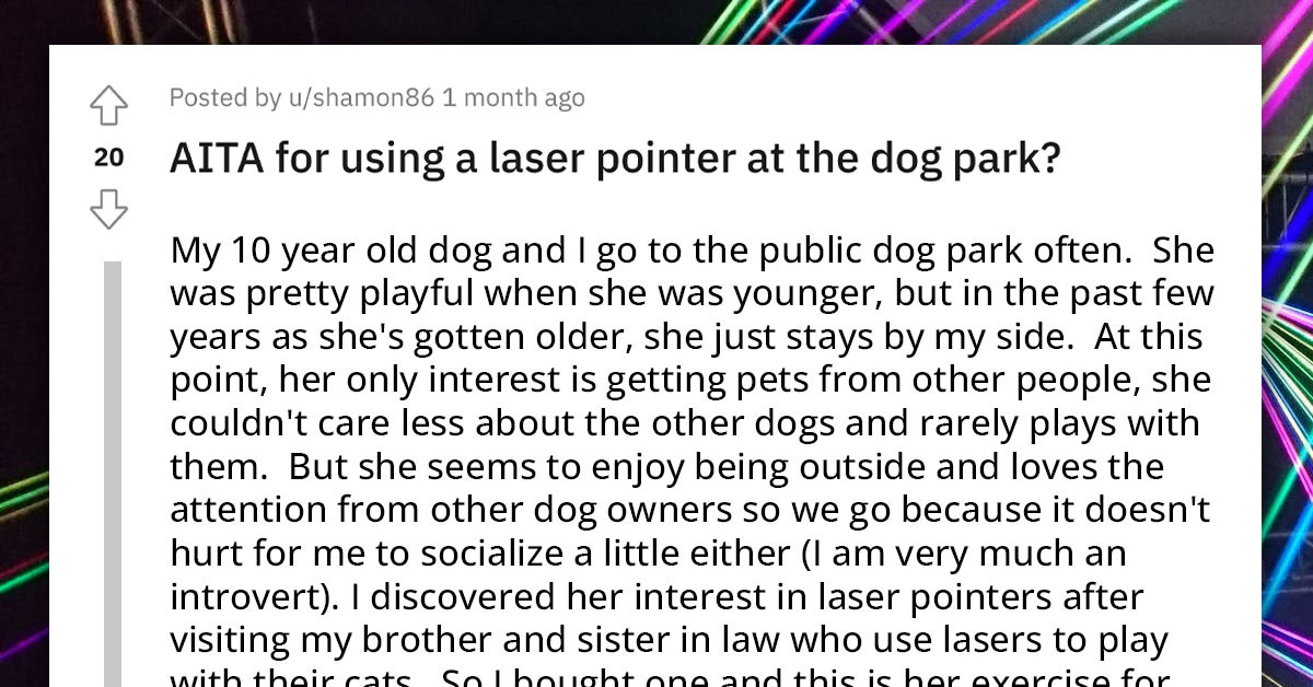 Man Condemned For Using Laser Pointer At Dog Park, Potentially Harming All Of The Dogs There