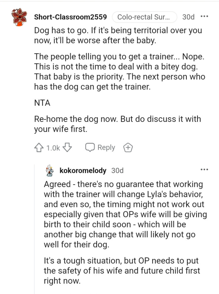 Man's Family Frowns At His Decision To Rehome His Dog After She Started