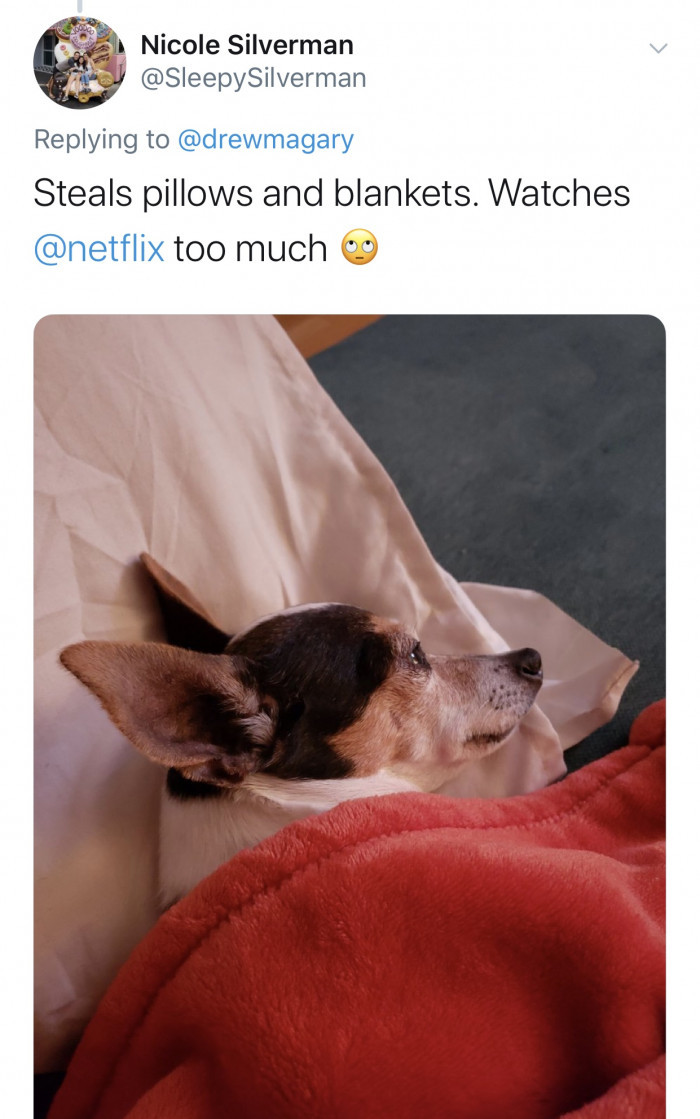 #9 Just cancel your netflix premium purchase.