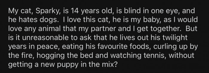 OP's cat, Sparky, hates dogs.