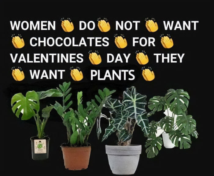 6. Give us plants