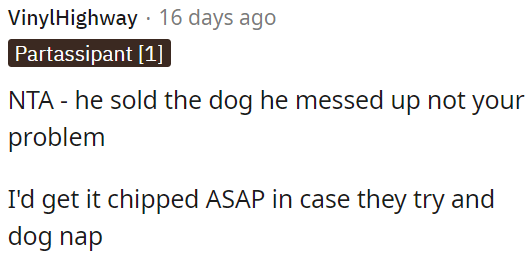 OP should protect the dog from potential theft by getting it microchipped promptly.