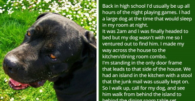 30 Of The Scariest Things That Have Happened To People While They Were Home Alone