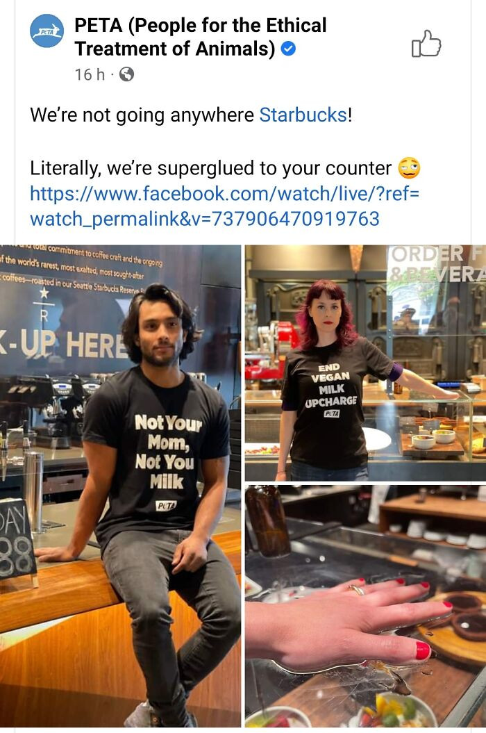 50. They... they glued themselves to the counter? Okay. Okay.