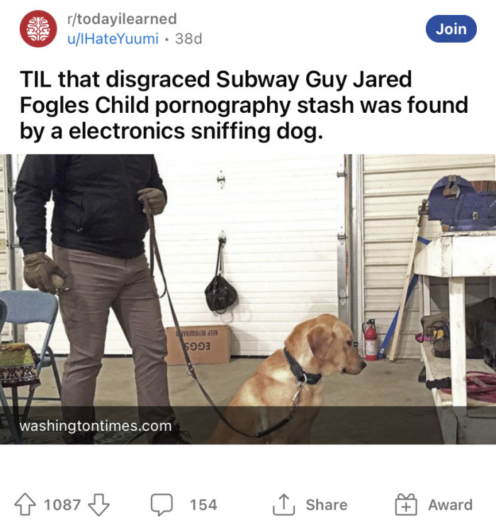 An Electronics Sniffing Dog Was Responsible For ExSubway Spokesman