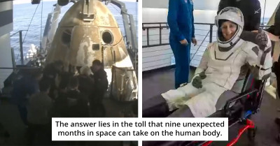 Back To Earth, Then To Rehab - The Toll Of 9 Months In Space
