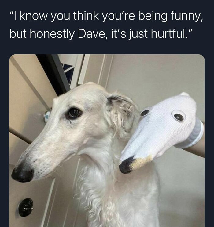 34. It's not funny, Dave